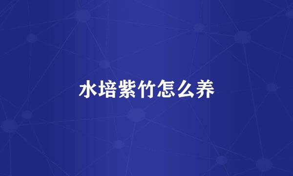 水培紫竹怎么养