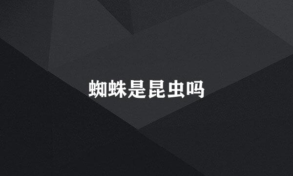 蜘蛛是昆虫吗