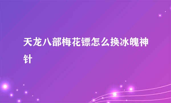 天龙八部梅花镖怎么换冰魄神针