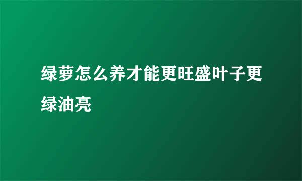 绿萝怎么养才能更旺盛叶子更绿油亮