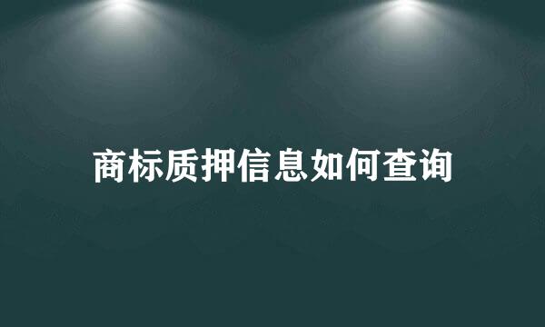 商标质押信息如何查询