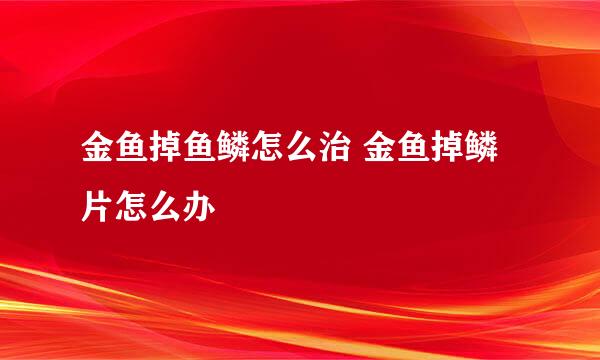 金鱼掉鱼鳞怎么治 金鱼掉鳞片怎么办