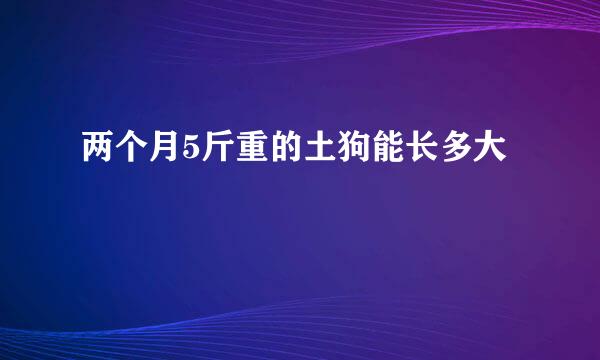 两个月5斤重的土狗能长多大