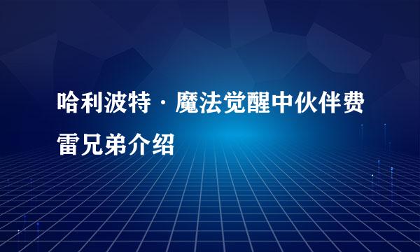 哈利波特·魔法觉醒中伙伴费雷兄弟介绍