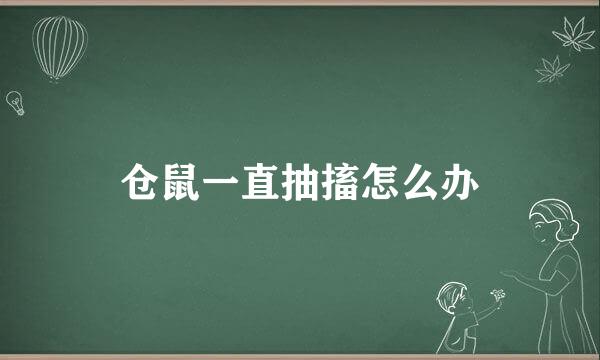 仓鼠一直抽搐怎么办