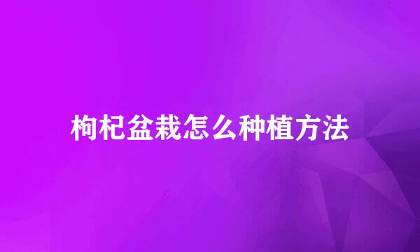 枸杞盆栽怎么种植方法