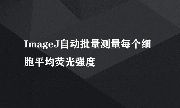 ImageJ自动批量测量每个细胞平均荧光强度