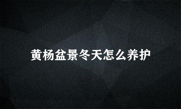 黄杨盆景冬天怎么养护