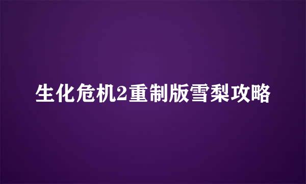 生化危机2重制版雪梨攻略