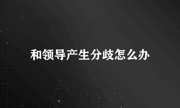 和领导产生分歧怎么办