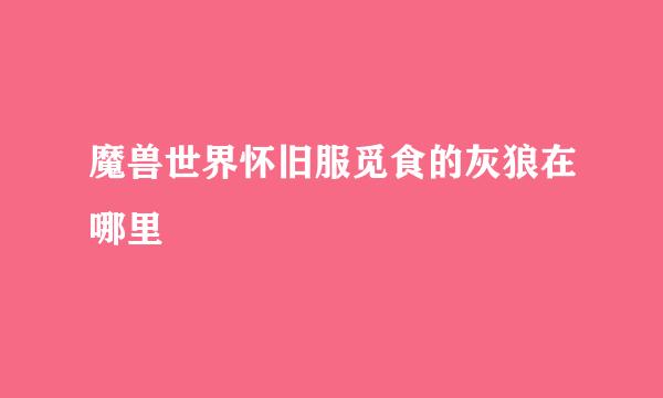 魔兽世界怀旧服觅食的灰狼在哪里