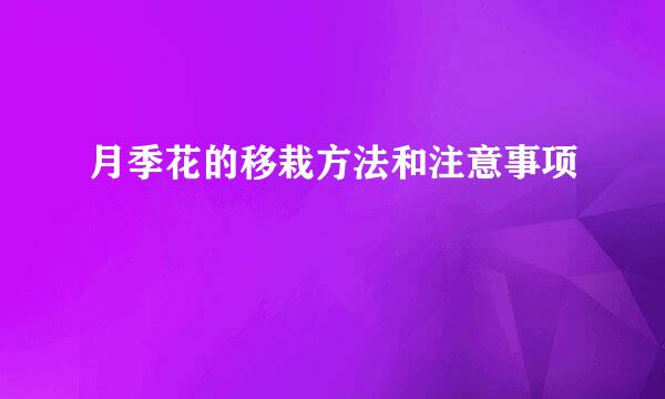 月季花的移栽方法和注意事项