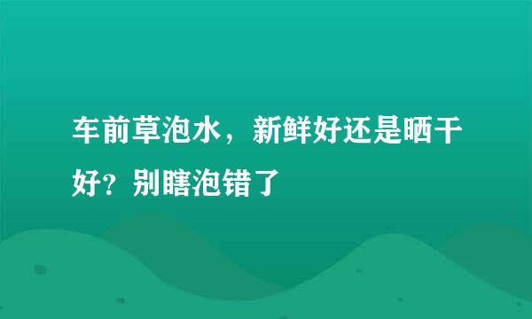 车前草泡水,新鲜好还是晒干好?别瞎泡错了