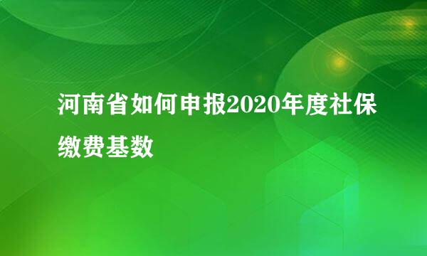 河南省如何申报2020年度社保缴费基数