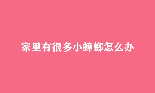 家里有很多小蟑螂怎么办