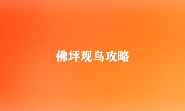 佛坪观鸟攻略