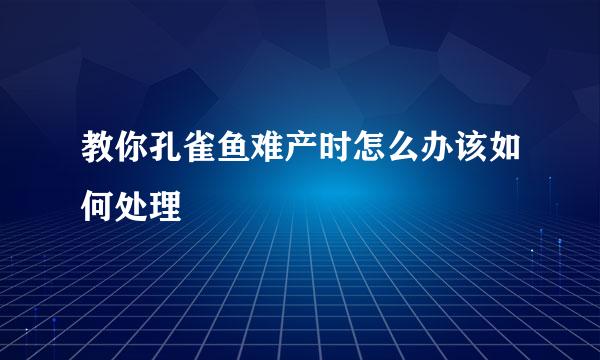 教你孔雀鱼难产时怎么办该如何处理