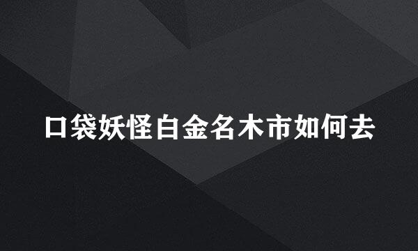 口袋妖怪白金名木市如何去
