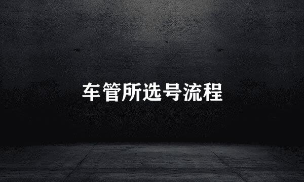 车管所选号流程