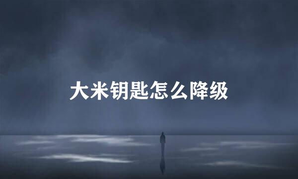 大米钥匙怎么降级