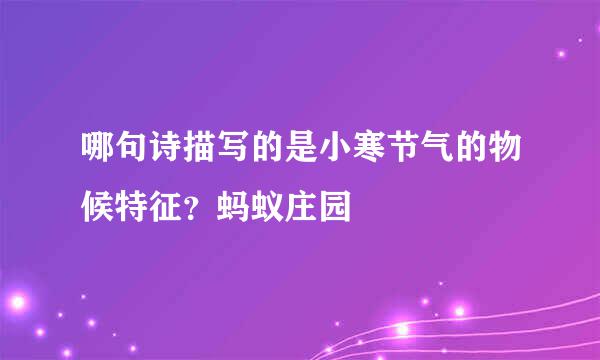 哪句诗描写的是小寒节气的物候特征？蚂蚁庄园