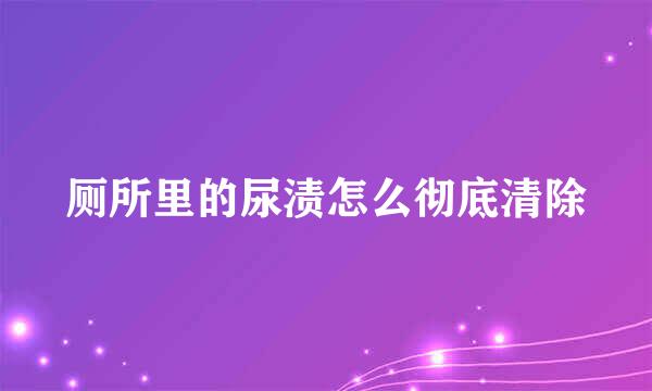厕所里的尿渍怎么彻底清除