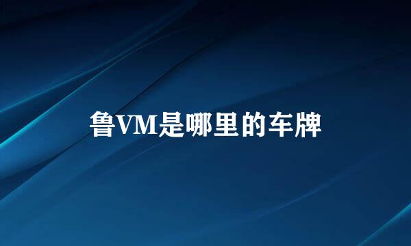 鲁VM是哪里的车牌