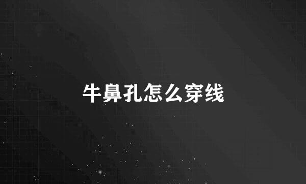 牛鼻孔怎么穿线