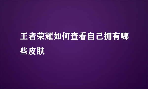 王者荣耀如何查看自己拥有哪些皮肤