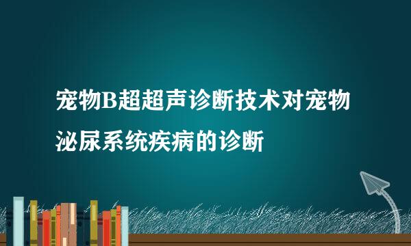 宠物B超超声诊断技术对宠物泌尿系统疾病的诊断