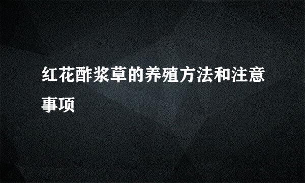 红花酢浆草的养殖方法和注意事项