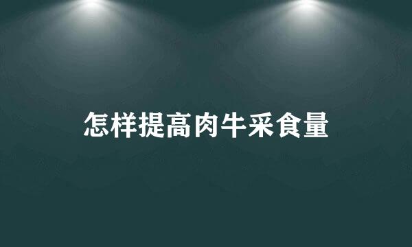 怎样提高肉牛采食量