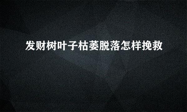 发财树叶子枯萎脱落怎样挽救