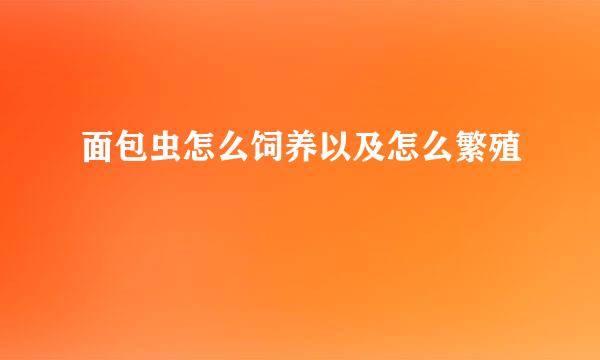面包虫怎么饲养以及怎么繁殖
