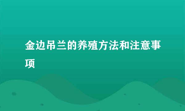 金边吊兰的养殖方法和注意事项