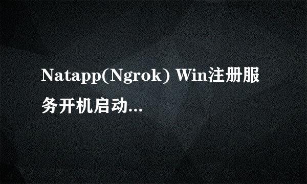 Natapp(Ngrok) Win注册服务开机启动&后台运行