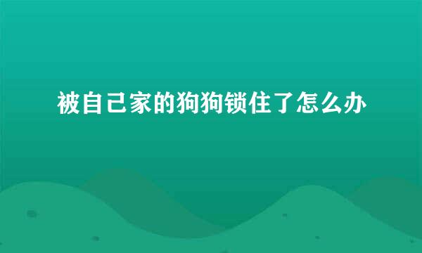 被自己家的狗狗锁住了怎么办