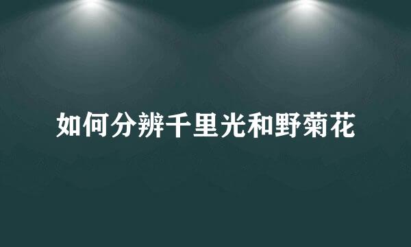 如何分辨千里光和野菊花