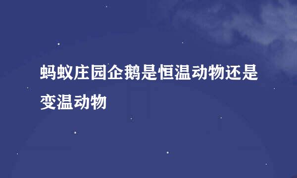 蚂蚁庄园企鹅是恒温动物还是变温动物
