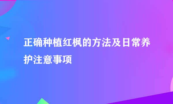正确种植红枫的方法及日常养护注意事项