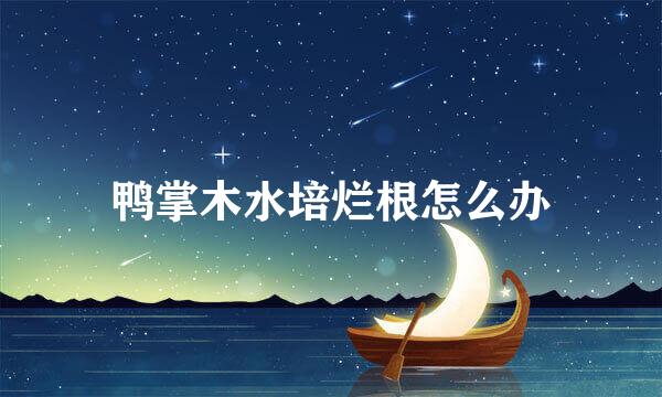 鸭掌木水培烂根怎么办