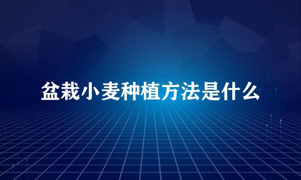 盆栽小麦种植方法是什么