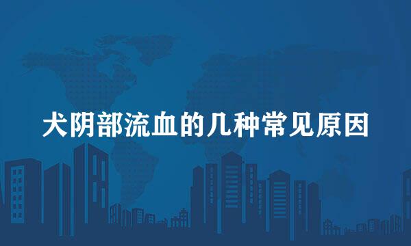 犬阴部流血的几种常见原因