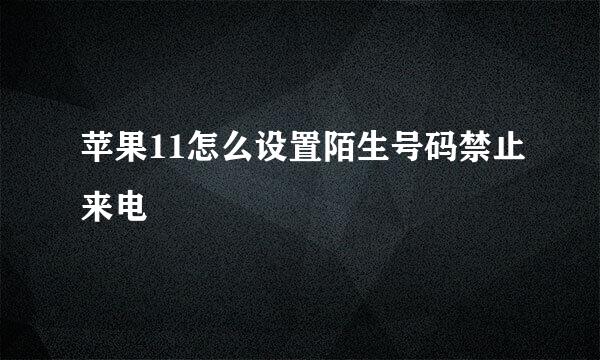 苹果11怎么设置陌生号码禁止来电