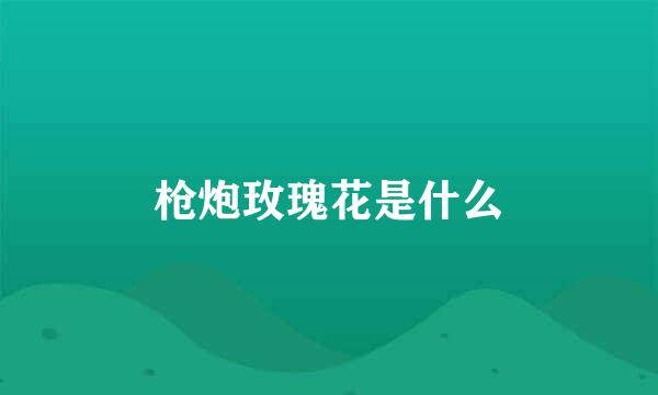 枪炮玫瑰花是什么