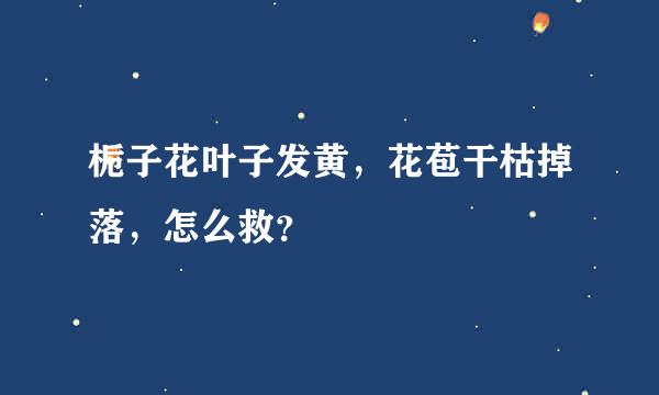 栀子花叶子发黄，花苞干枯掉落，怎么救？ ￼