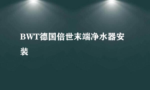 BWT德国倍世末端净水器安装