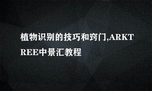 植物识别的技巧和窍门,ARKTREE中景汇教程