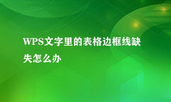 WPS文字里的表格边框线缺失怎么办