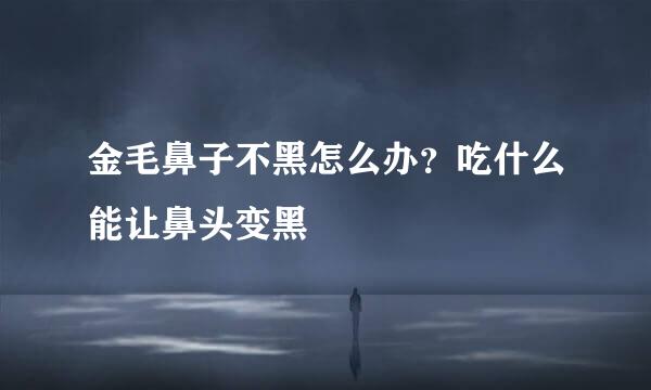 金毛鼻子不黑怎么办？吃什么能让鼻头变黑